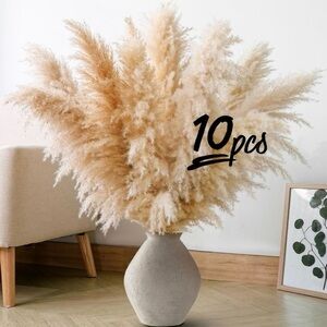 BUNCH OF 10pcs Natural Cream Pampas grass 100cm (new, folded in plastic)